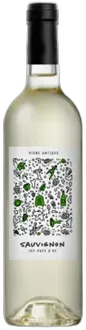 image du vin Vigne Antique Rouge Merlot