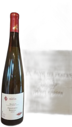 image du vin Alsace Riesling Dirstelberg Agathe Bursin