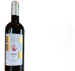 photo du vin Terroir