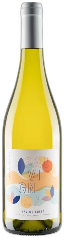 vue du vin Sauvignon