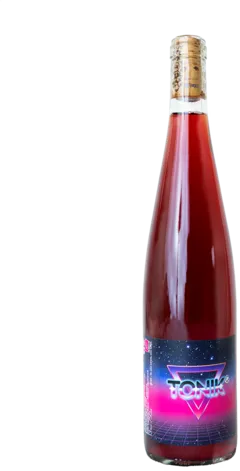 vue du vin Alsace Coteaux Calcaires Pinot Noir