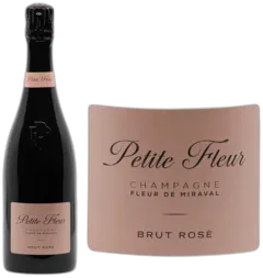 vue du vin Miraval Rosé