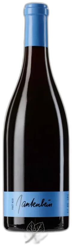 image du vin Pinot Noir