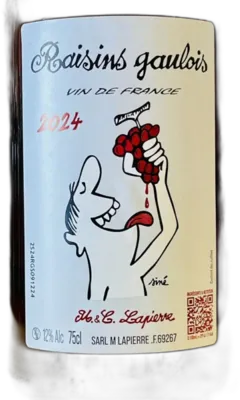 vue du vin Raisins Gaulois