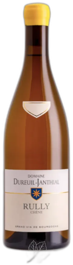 capture du vin Rully Chêne