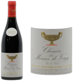 vue du vin Chemin des Moines de Vergy