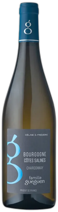 vue du vin Côtes Salines