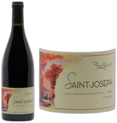 vue du vin Saint-Joseph rouge Gaillard Pierre