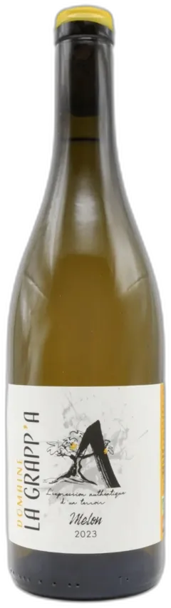 vue du vin Melon