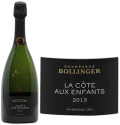 photo du vin Blanc de Noirs "La Côte Aux Enfants