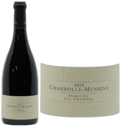 vue du vin Les Charmes