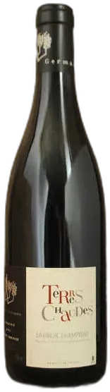 image du vin Thierry Germain Saumur Champigny "Outre Terre" 2019