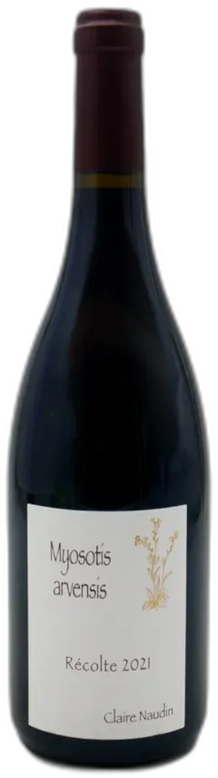 illustration du vin Myosotis Arvensis