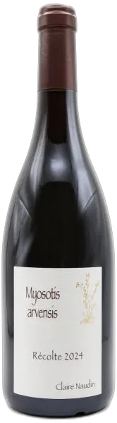 illustration du vin Myosotis Arvensis