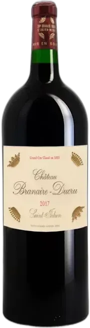 vue du vin Château Branaire Ducru 2010