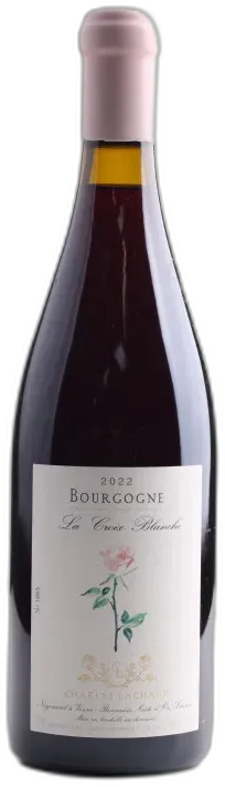 vue du vin Cote de Nuits Villages Aux Montagnes Charles Lachaux
