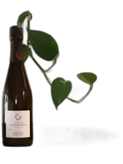 image du vin Sorangeon Blanc de Chardonnay