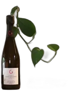photo du vin Croix Courcelles Blanc de Pinot Noir et Chardonnay