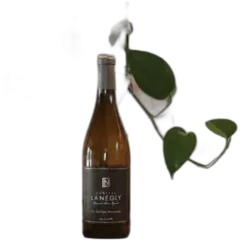photo du vin Brise Marine Château de la Négly