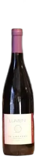 illustration du vin in Amphora