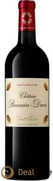vue du vin Château Branaire Ducru 2010