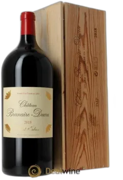 vue du vin Château Branaire Ducru 2010