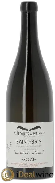 capture du vin Clement Lavallee Saint-Bris les Copains d’Abord