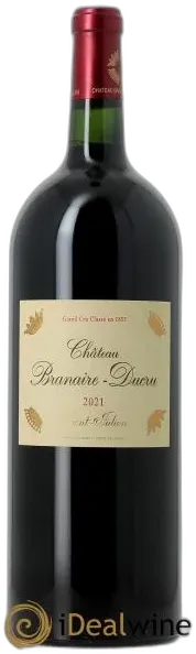 vue du vin Château Branaire Ducru 2010
