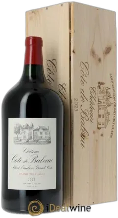 vue du vin Château Cote de Baleau
