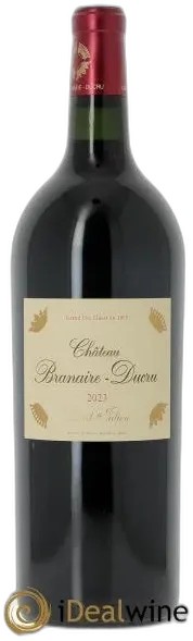 vue du vin Château Branaire Ducru 2010