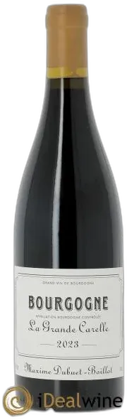 vue du vin Domaine Coillot "Marsannay" Marsannay Blanc