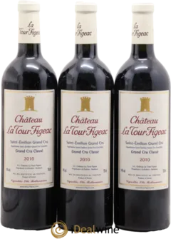 vue du vin Château la Tour Figeac