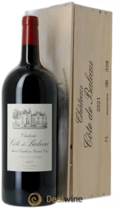 vue du vin Château Cote de Baleau