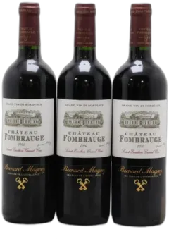 vue du vin Château Fombrauge