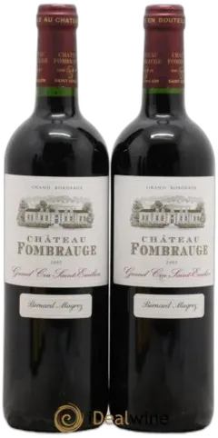 vue du vin Château Fombrauge