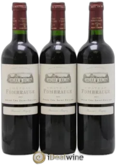 vue du vin Château Fombrauge