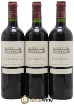 vue du vin Château Fombrauge