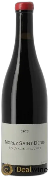 vue du vin Morey Saint Denis les Champs de la Vigne Qvevris Rouge
