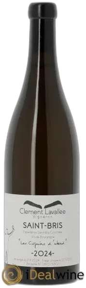 capture du vin Clement Lavallee Saint-Bris les Copains d’Abord