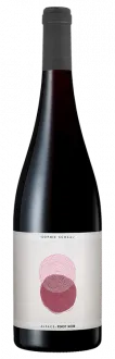 photo Pinot Noir 2023 Sophie Schaal