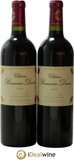 vue du vin Château Branaire Ducru 2010