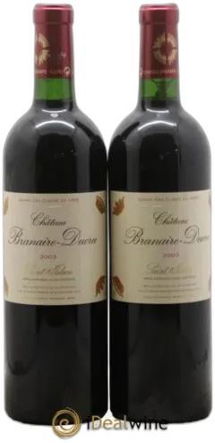 vue du vin Château Branaire Ducru 2010