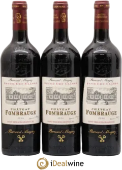 vue du vin Château Fombrauge