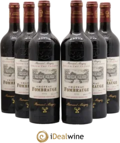 vue du vin Château Fombrauge