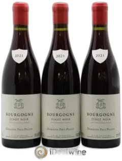 photo du vin Domaine Paul Pillot Pinot Noir