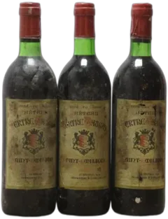 photo du vin Tertre Daugay