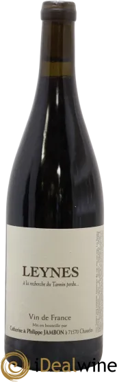 vue du vin Leynes