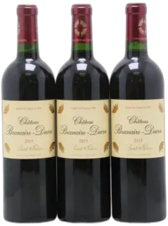 vue du vin Château Branaire Ducru 2010