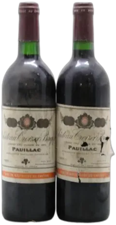 image du vin Château Croizet Bages