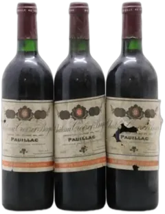 image du vin Château Croizet Bages